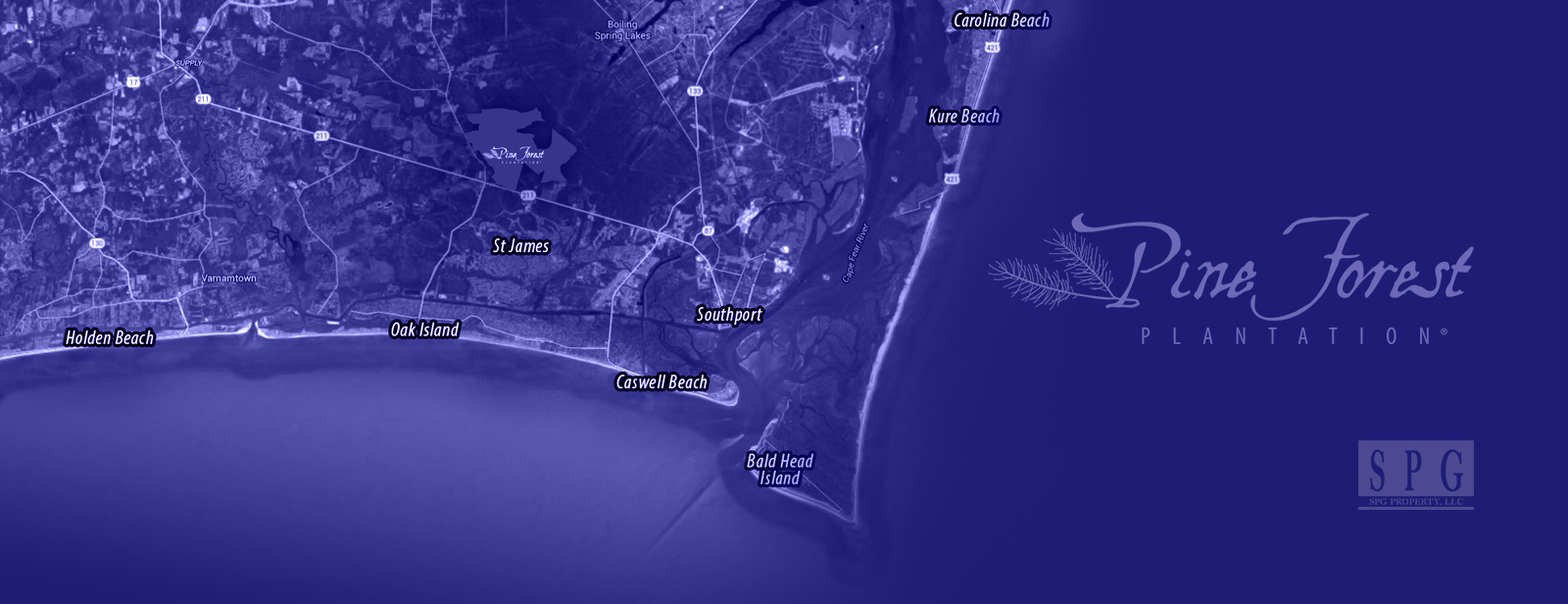 Pine Forest Plantation