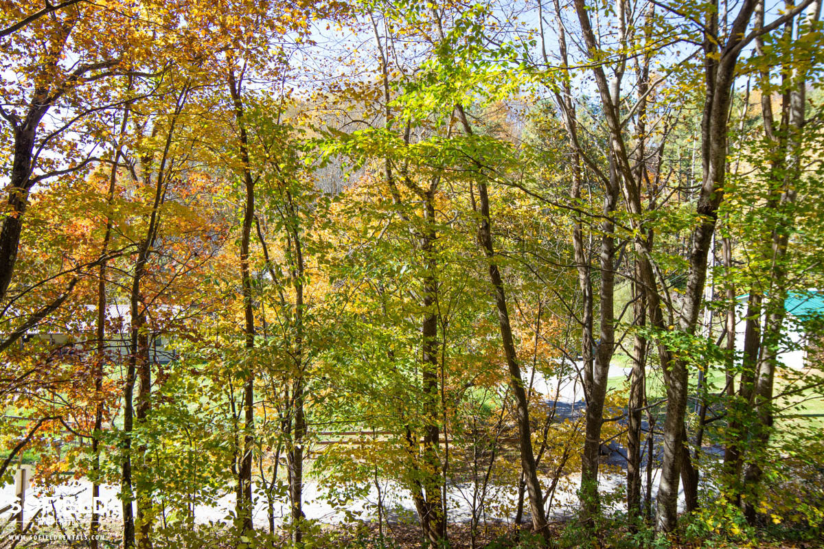 Hodges Valley Apartments