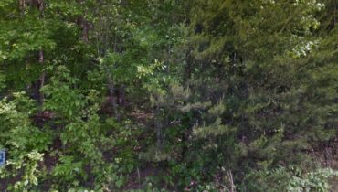 Pickens County Land  514 Raines