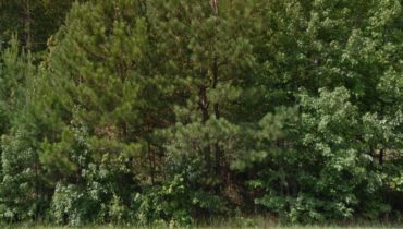 Pickens County Land 6918 Hwy