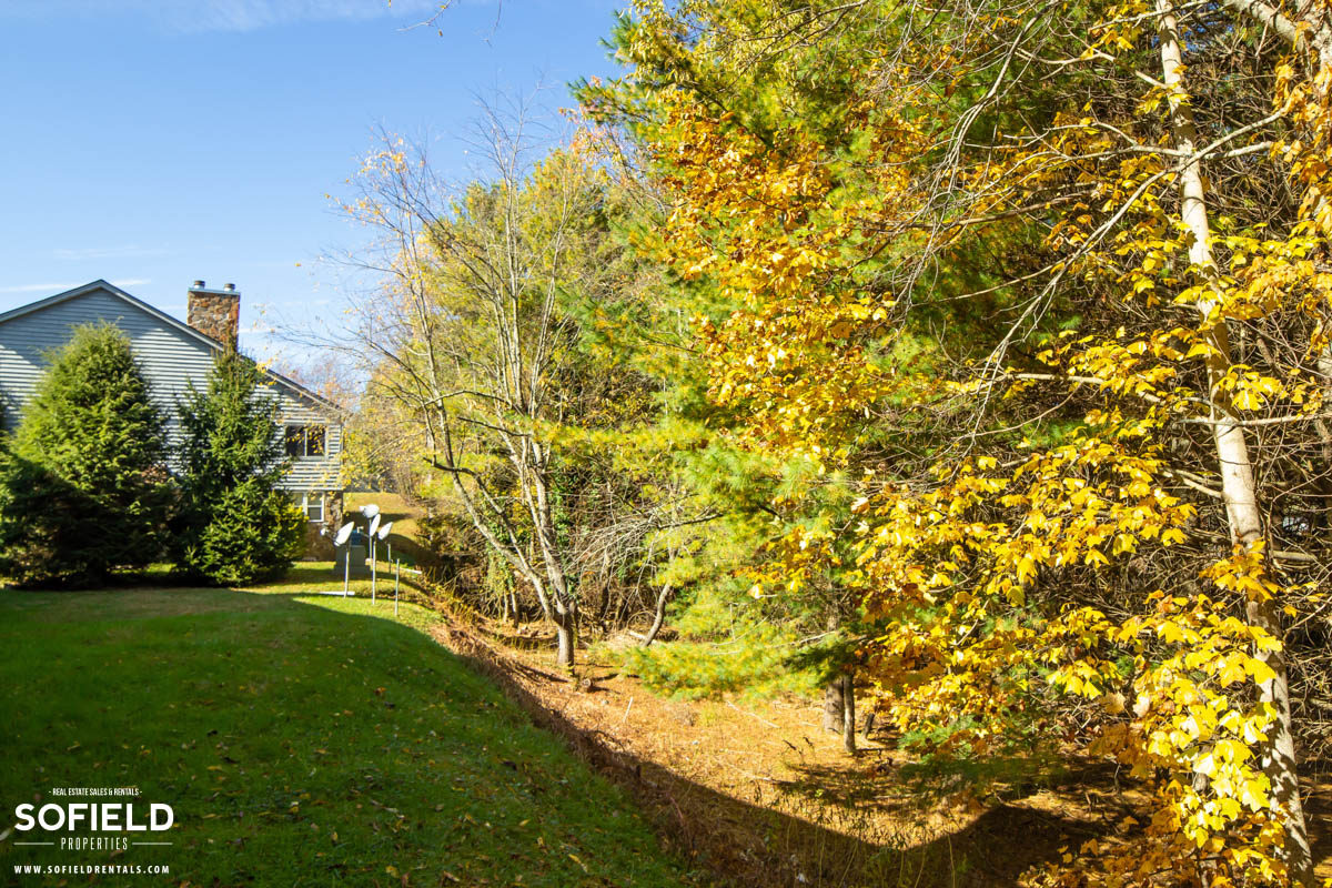 Village on the Green